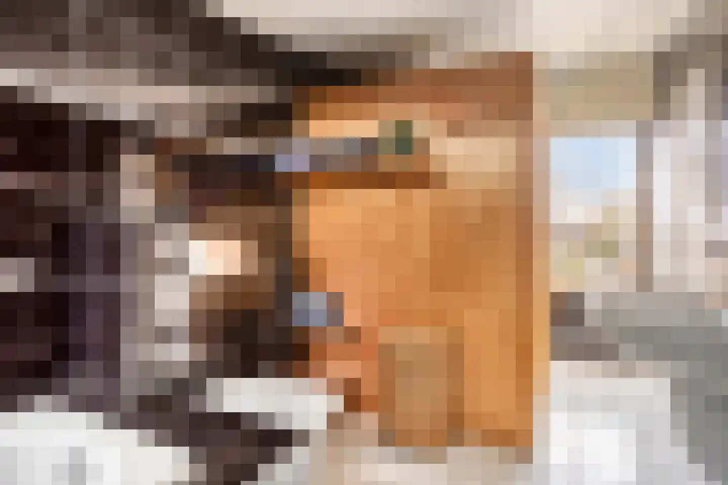 Dijkgraaflaan 100 Oudewater thumbnail 25