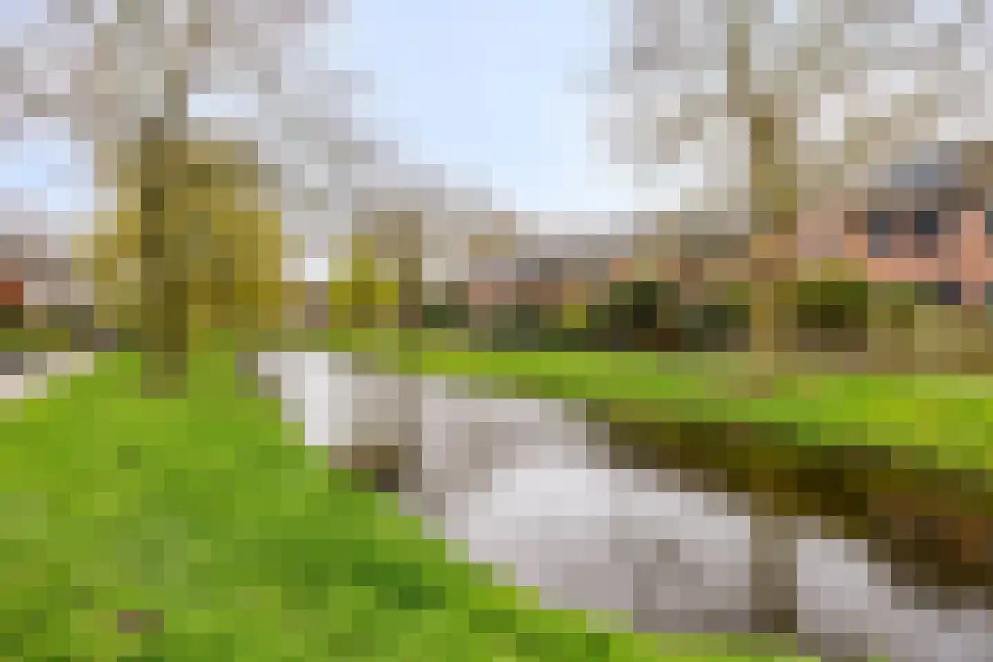 Dijkgraaflaan 100 Oudewater thumbnail 32
