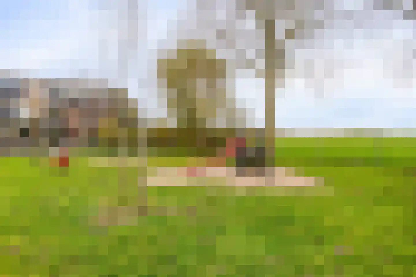 Dijkgraaflaan 100 Oudewater thumbnail 33