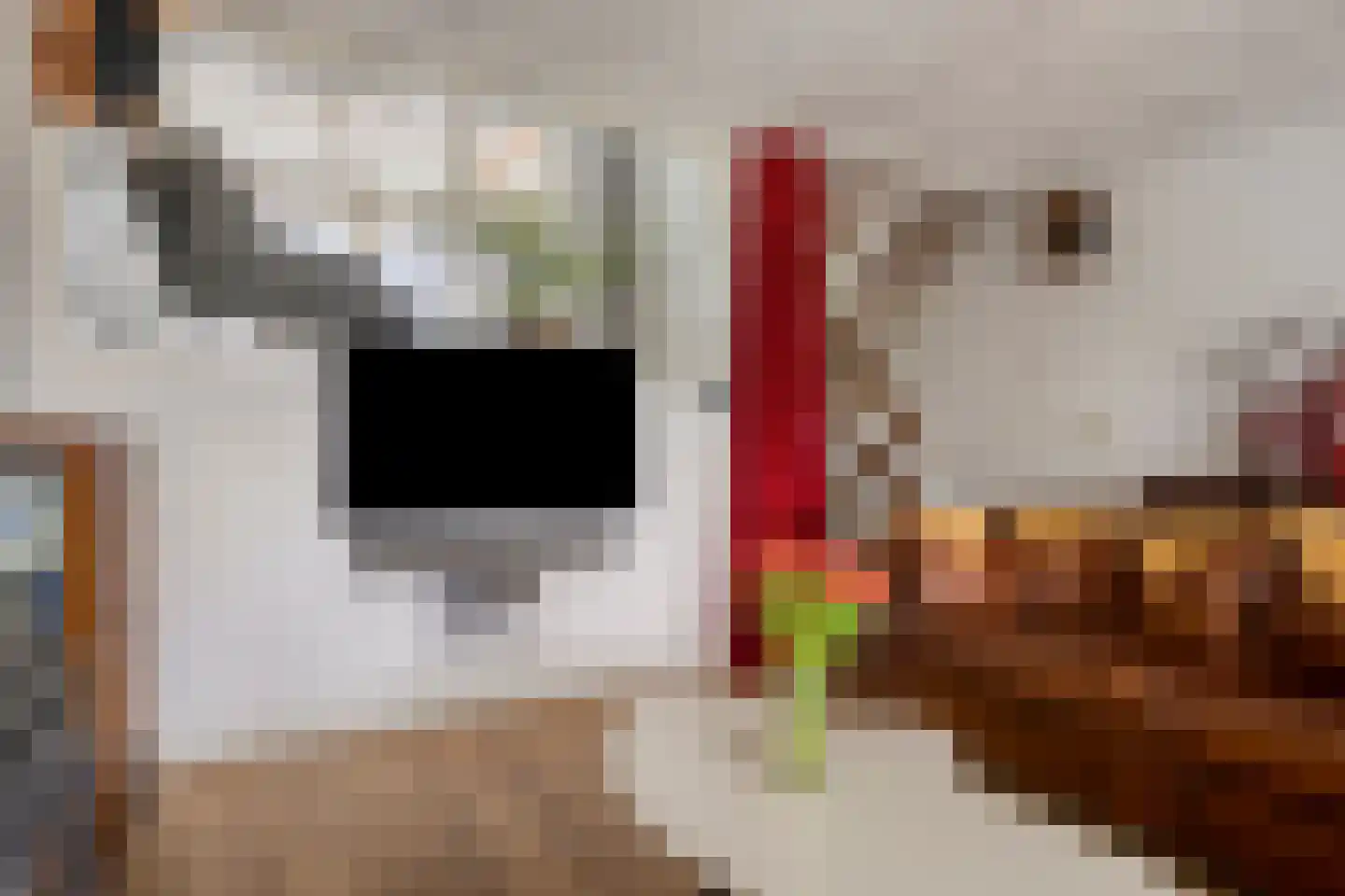 Dijkgraaflaan 100 Oudewater thumbnail 6