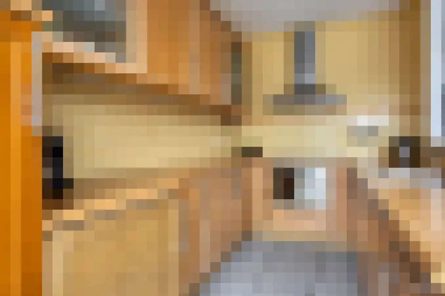 Dijkgraaflaan 100 Oudewater thumbnail 9