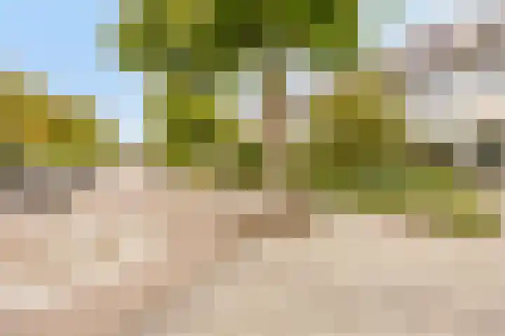 Dijkgraaflaan 162 Oudewater thumbnail 37