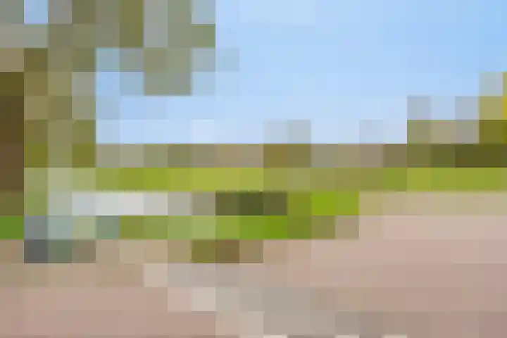 Dijkgraaflaan 162 Oudewater thumbnail 40