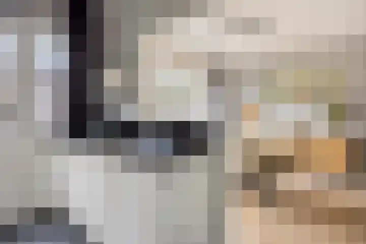 Dijkgraaflaan 162 Oudewater thumbnail 8