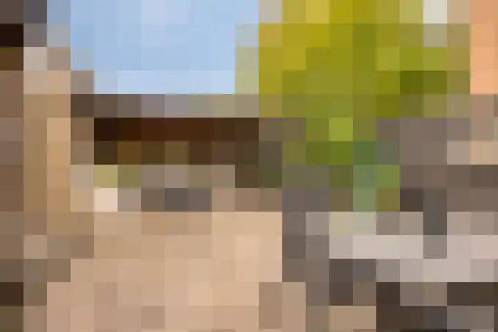 Dijkgraaflaan 21 Oudewater thumbnail 18