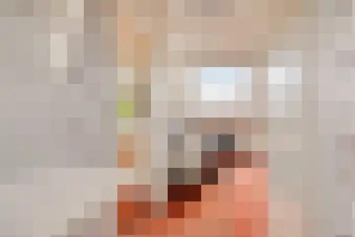 Dijkgraaflaan 21 Oudewater thumbnail 32