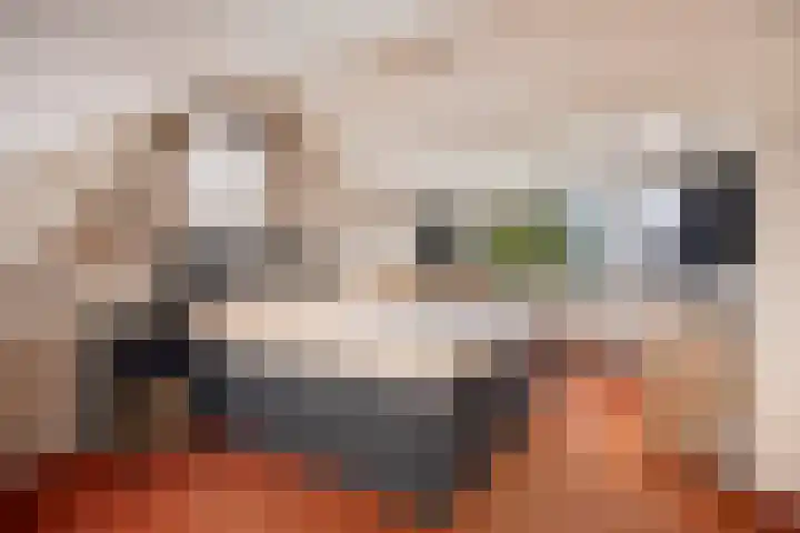 Dijkgraaflaan 21 Oudewater thumbnail 33