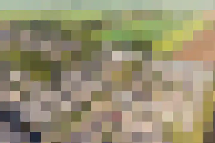 Dijkgraaflaan 21 Oudewater thumbnail 36