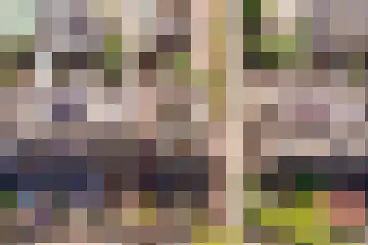 Dijkgraaflaan 21 Oudewater thumbnail 37