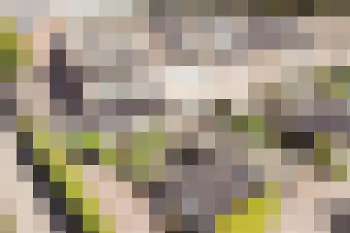 Dijkgraaflaan 21 Oudewater thumbnail 38