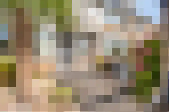Dijkgraaflaan 21 Oudewater thumbnail 42