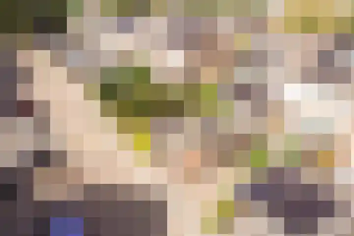 Dijkgraaflaan 21 Oudewater thumbnail 44
