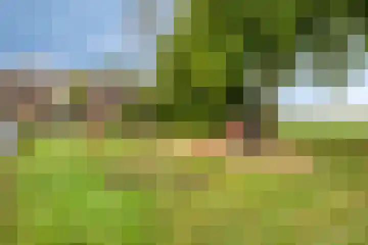 Dijkgraaflaan 21 Oudewater thumbnail 47
