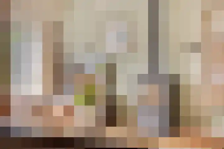 Dijkgraaflaan 21 Oudewater thumbnail 7