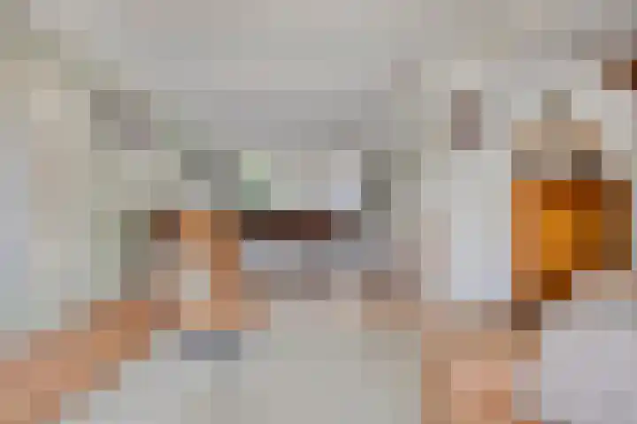 Dijkgraaflaan 21 Oudewater thumbnail 8