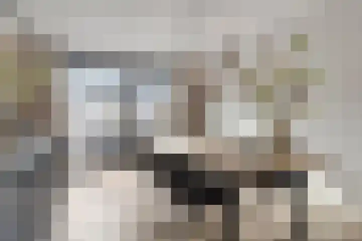 Dijkgraaflaan 22 Oudewater thumbnail 10