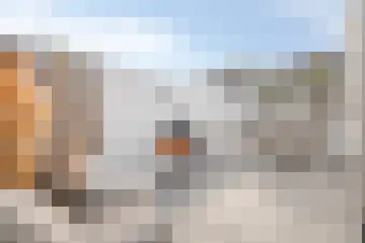 Dijkgraaflaan 22 Oudewater thumbnail 22