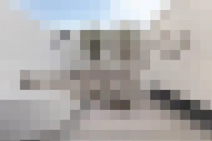 Dijkgraaflaan 22 Oudewater thumbnail 23