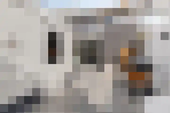 Dijkgraaflaan 22 Oudewater thumbnail 25