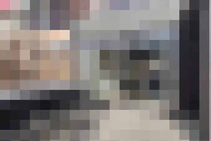 Dijkgraaflaan 22 Oudewater thumbnail 27