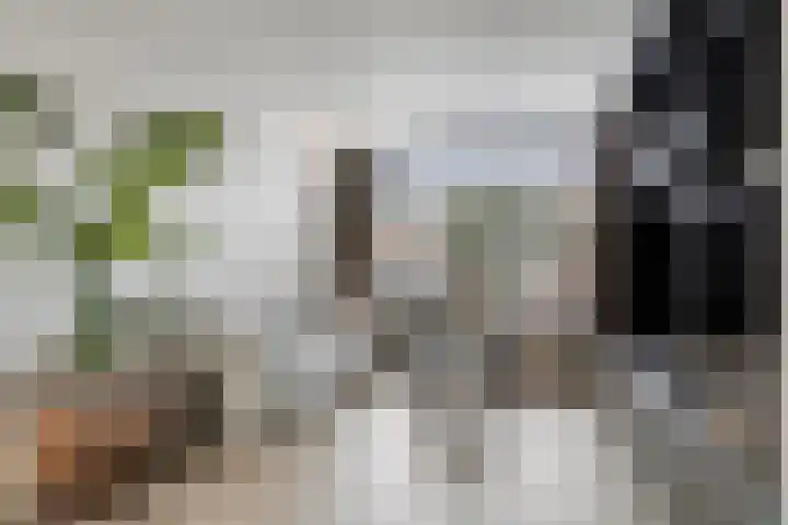 Dijkgraaflaan 22 Oudewater thumbnail 4