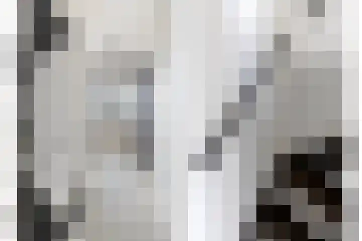 Dijkgraaflaan 22 Oudewater thumbnail 40