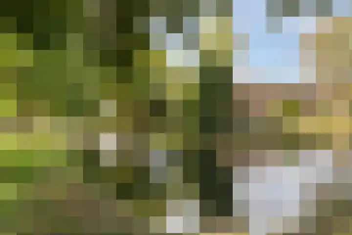 Dijkgraaflaan 22 Oudewater thumbnail 48