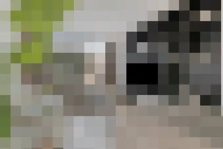 Dijkgraaflaan 22 Oudewater thumbnail 6