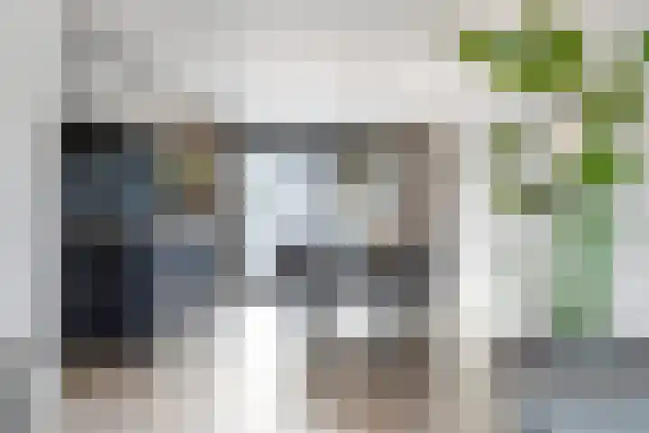Dijkgraaflaan 22 Oudewater thumbnail 8