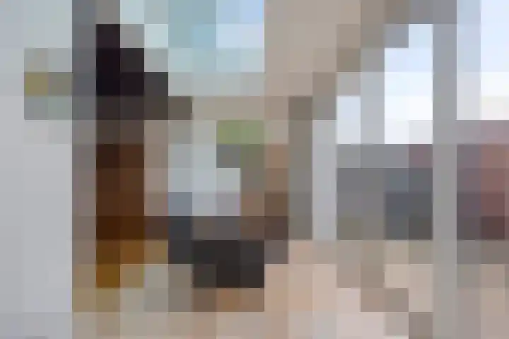 Dijkgraaflaan 52 Oudewater thumbnail 10