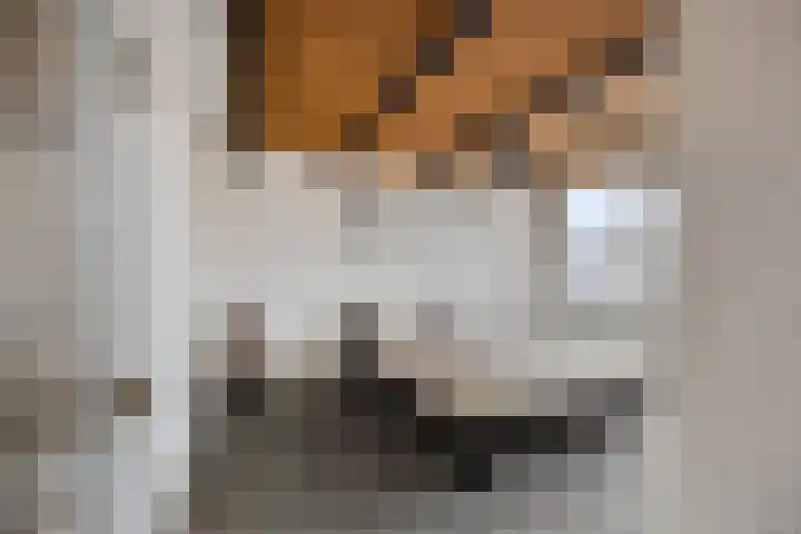 Dijkgraaflaan 52 Oudewater thumbnail 16