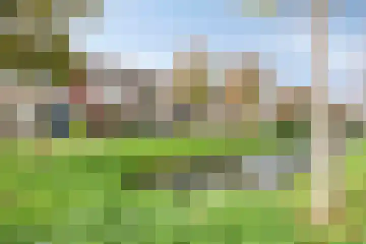 Dijkgraaflaan 52 Oudewater thumbnail 27