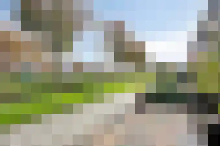 Dijkgraaflaan 52 Oudewater thumbnail 30
