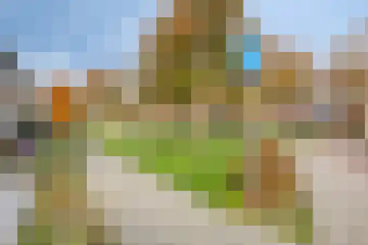 Dijkgraaflaan 52 Oudewater thumbnail 31