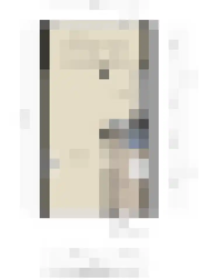 Dijkgraaflaan 52 Oudewater thumbnail 33