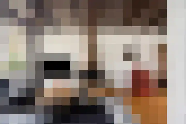 Dijkgraaflaan 52 Oudewater thumbnail 4