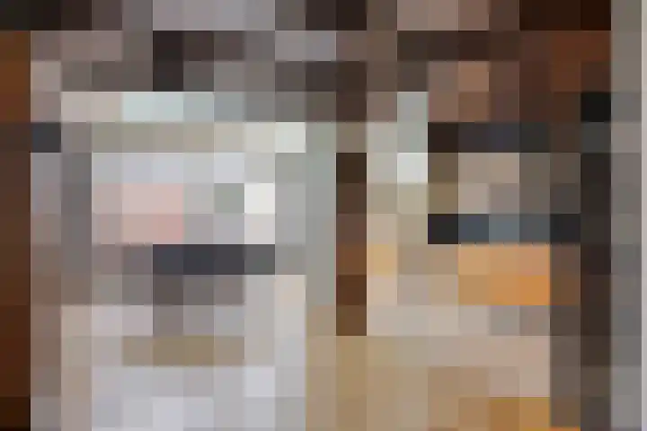 Dijkgraaflaan 52 Oudewater thumbnail 6