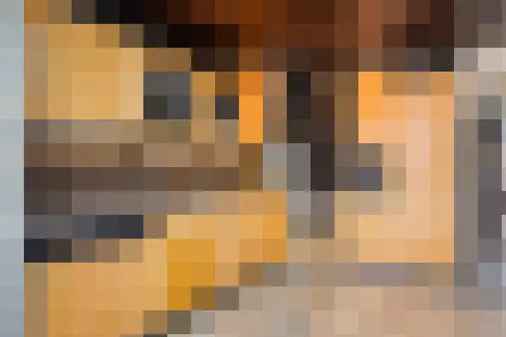 Dijkgraaflaan 52 Oudewater thumbnail 9