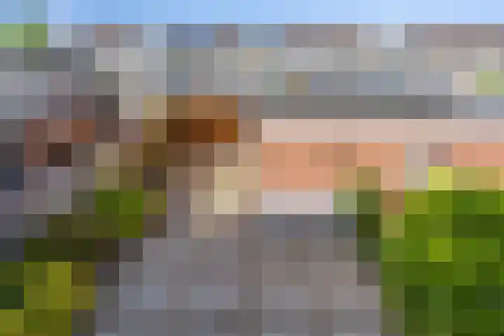 Dijkgraaflaan 54 Oudewater thumbnail 15