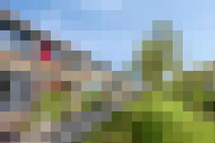 Dijkgraaflaan 54 Oudewater thumbnail 25