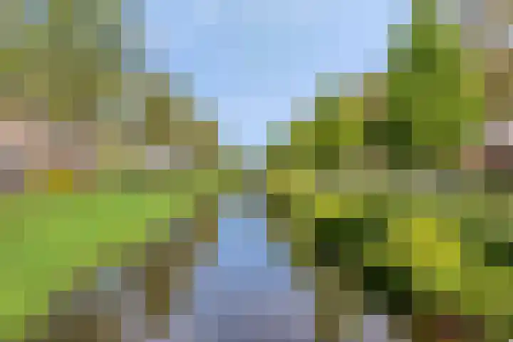 Dijkgraaflaan 54 Oudewater thumbnail 26