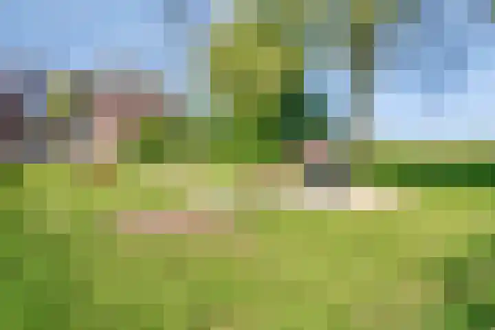 Dijkgraaflaan 54 Oudewater thumbnail 29