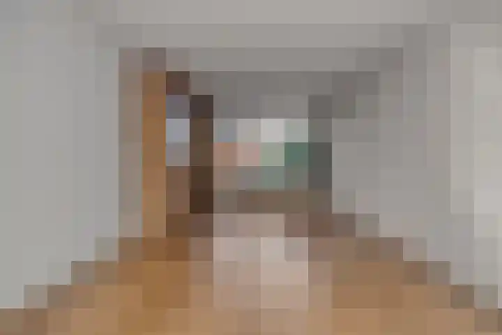 Dijkgraaflaan 54 Oudewater thumbnail 4