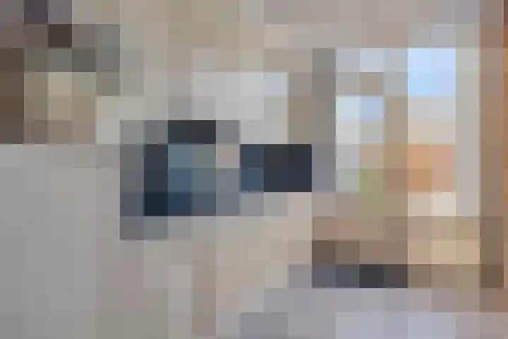 Dijkgraaflaan 54 Oudewater thumbnail 7