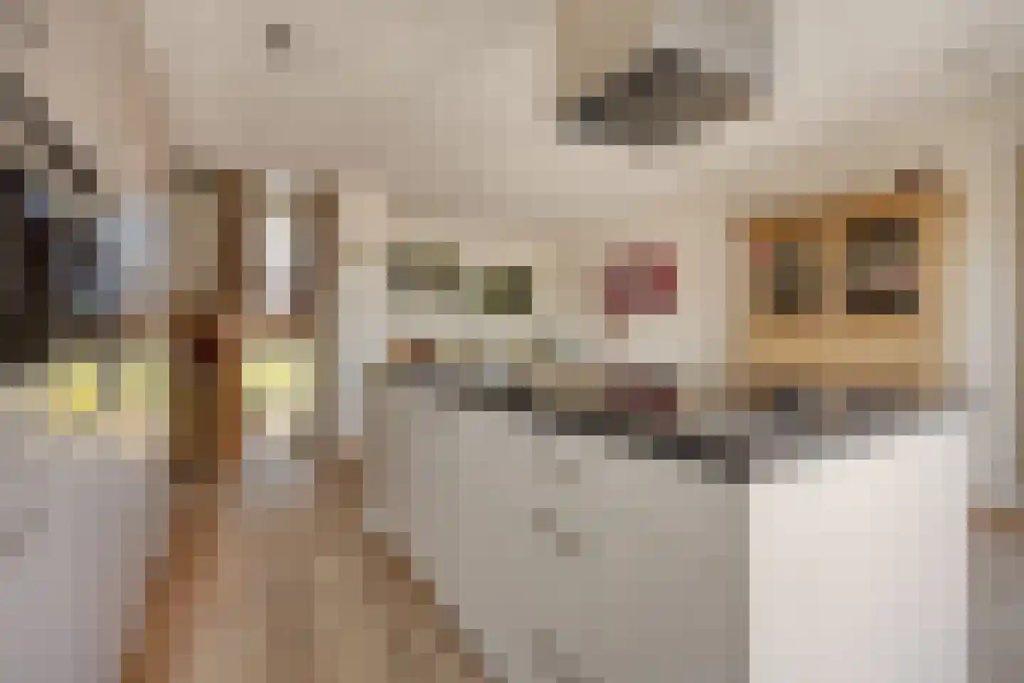Dijkgraaflaan 72 Oudewater thumbnail 19