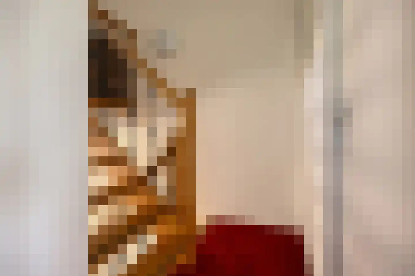 Dijkgraaflaan 72 Oudewater thumbnail 28