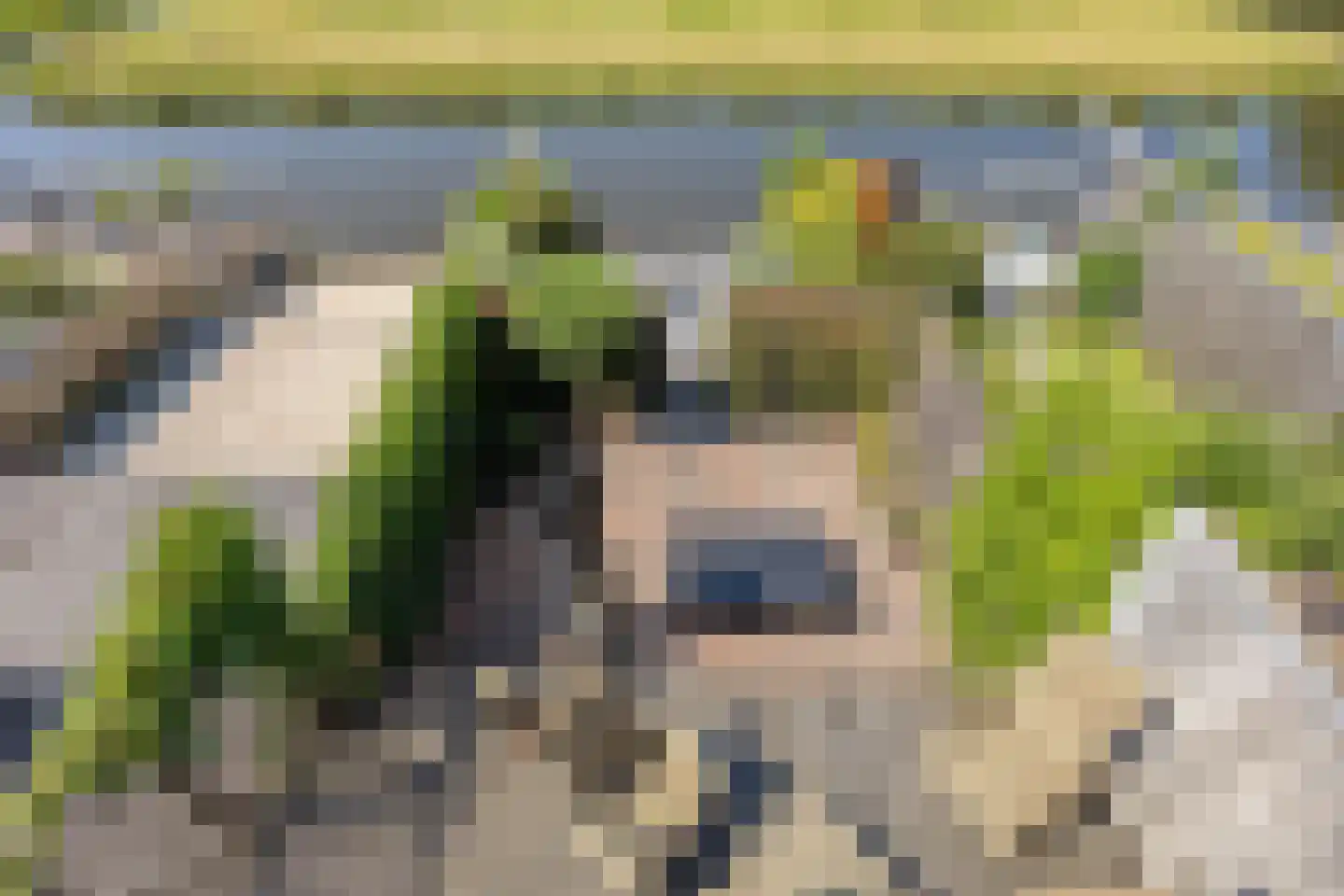 Dijkgraaflaan 72 Oudewater thumbnail 35