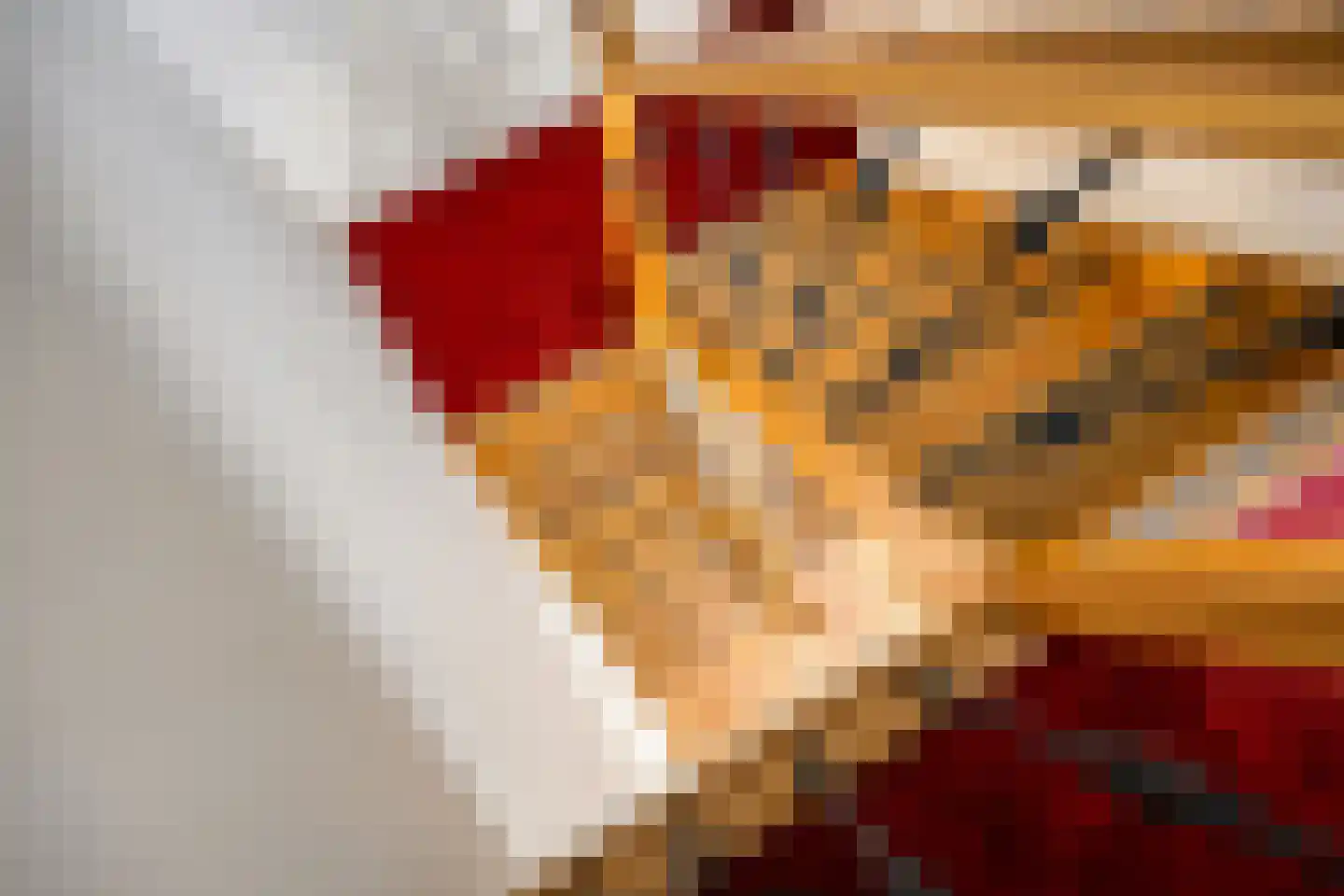 Dijkgraaflaan 72 Oudewater thumbnail 43