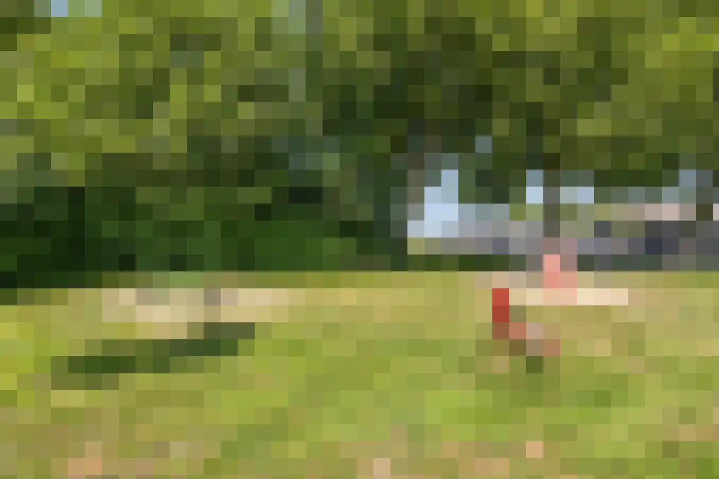 Dijkgraaflaan 72 Oudewater thumbnail 48