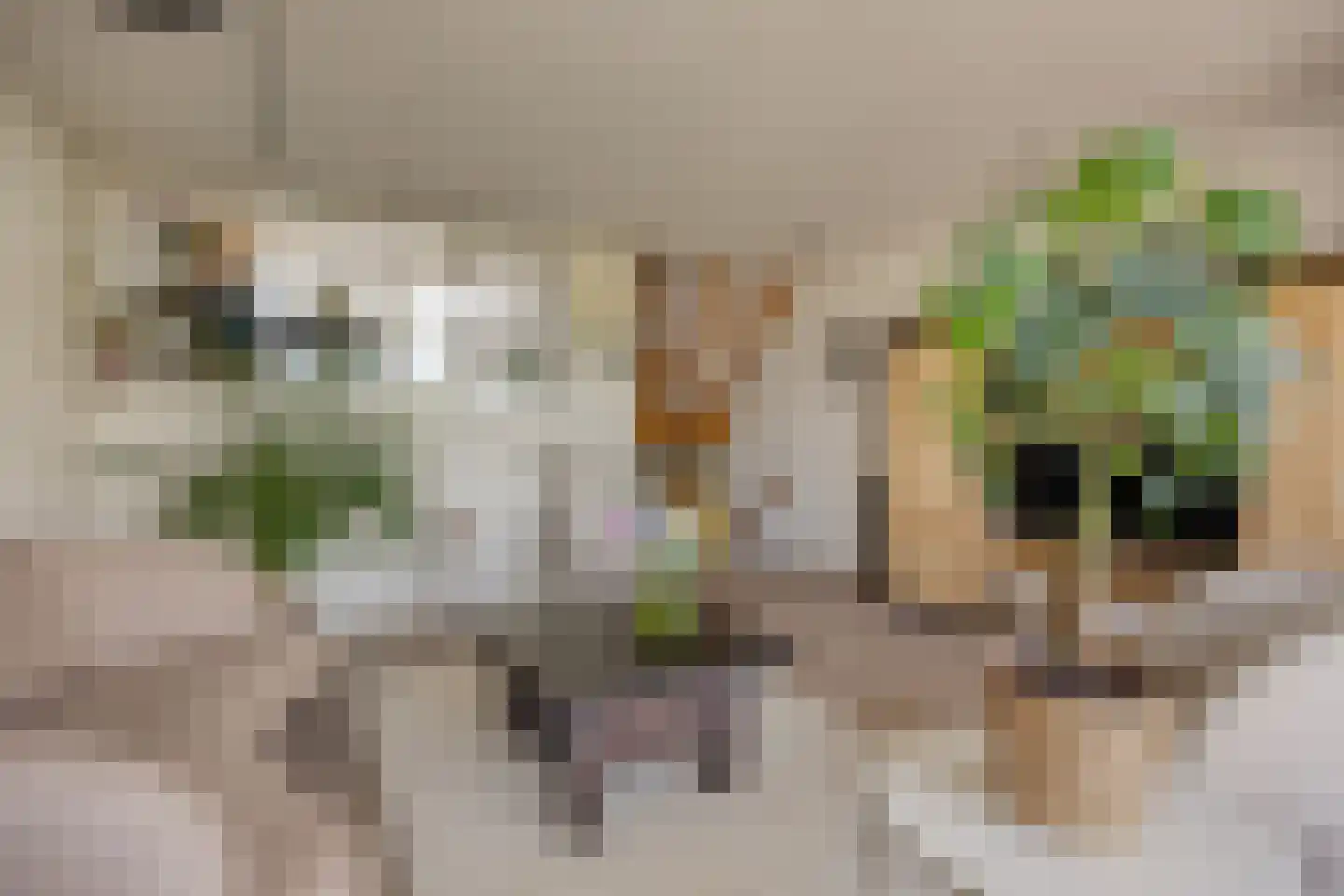 Dijkgraaflaan 72 Oudewater thumbnail 6